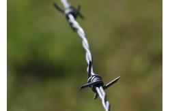 China Use Of Prison Walls Anti Climb Single Strand PVC Coated Iron Barbed Wire supplier