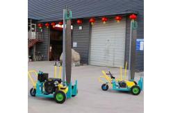 China Mobile Chain Sawmill For Big Logs Timber Cutting Vertical Cutting Wood Slasher supplier