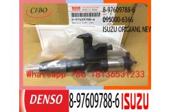 China Neutral 8-97609788-6 095000-6366 ISUZU Fuel Injector supplier