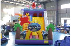 China Custom Printed Inflatable Dry Slide with Bouncy Castle Design for Kids Events supplier