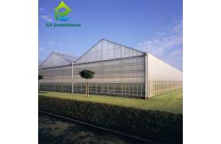 China Agricultural Farm Plant Vegetable PC Sheet Greenhouse With Ventilation System supplier