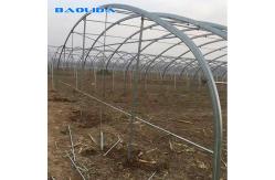 China Double Arches Double Film Greenhouse 10m Width Tunnel Plastic Greenhouse supplier