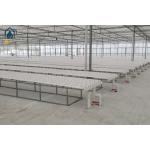 Greenhouse Vegetables Lettuce Grow Hydroponic System NFT Vertical Hydroponic Pipeline for sale