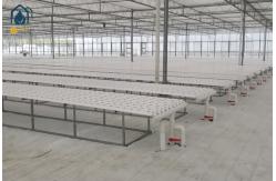 China Greenhouse Vegetables Lettuce Grow Hydroponic System NFT Vertical Hydroponic Pipeline supplier