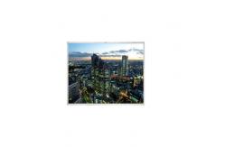China LC056N1 5.6 inch 640*480 LCD Screen Module supplier