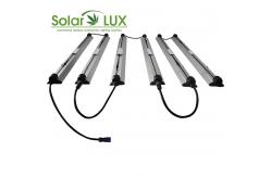 China 14AWG 100W LED Horticultural Daisy Chain Grow Lights supplier