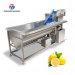 180KG Stainless steel multi-functional vegetable cleaning machine vegetable cleaning equipment for sale