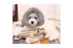 China Plush Tough Chew Toys , Bite Resistance Dog Toothbrush Chew Toy 34 * 20 * 8CM supplier