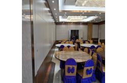 China Top Hung Sliding Partitioning Walls With Ceiling Rails / Movable Wall Panels supplier