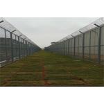 Welded Razor Wire Mesh Fencing Panels With Diamond Hole For African Market for sale