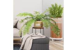 China Uv Resistant Artificial Panel Plant Outdoor Grass Vertical Garden Green Wall supplier