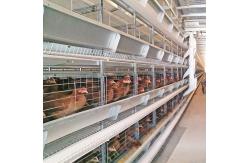 China Small Stacked Battery Chicken Layer Cage Automatic Poultry Farming H Shaped 8 Tiers supplier