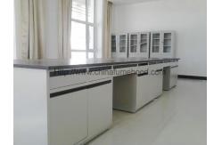 China Testing Center Steel Lab Furniture DTC Hinge 2 Layers Reagent Rack supplier