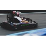 60 - 70km/h Adult Electrical Go Kart With APP Adjustment Control for sale