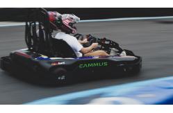 China 60 - 70km/h Adult Electrical Go Kart With APP Adjustment Control supplier