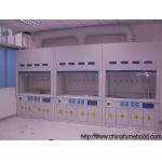 Anti Corrosion FRP Fume Hood , Horizontal Laminar Flow Laboratory Exhaust Hood for sale