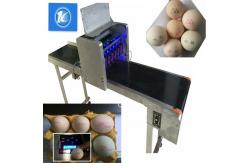 China High Resolution Inkjet Date Code Printer Unlimited Length For Whole Disk Eggs supplier