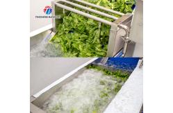 China 380V Integrating Spinach Washing Machine , Blasting Isolating Potato Cleaning Machine supplier
