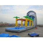 Rental  Inflatable Water Slide for Sale for sale