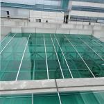 Weather Resistant 1.2g/Cm3 solid polycarbonate roofing sheets With Anti UV