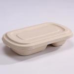 Eco Friendly Compostable Sugarcane Container 1000ml 2 Compartment Takeaway Containers