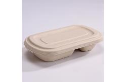 China Eco Friendly Compostable Sugarcane Container 1000ml 2 Compartment Takeaway Containers supplier