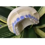 ISO13485 Teeth Whitening Bleach Guard For Smoke Stains for sale