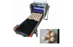 China High Speed Industrial Egg Jet Printer Machine , Batch Printing Machine supplier