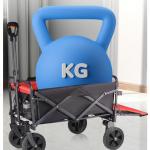 Remote Control Electric Folding Wagon Outdoor Push Pull Cart 230L