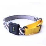 Fray Proof Polyester Reflective Pet Collars Leashes/pet peroducts for sale