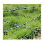 Wholesale Low Cost Electro Galvanised Steel Barbed Wire For Household for sale