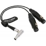 XLR Breakout Audio Input Cable For Atomos Shogun Monitor Recorder Right Angle 10 Pin To Dual XLR 3 Pin Female for sale