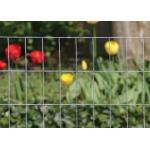 1/2 X 1/2 1/4 Inch Galvanized Welded Wire Mesh Fence Zinc Coating Electro Galvanized 10-15g/m2 Low Carbon Steel Wire Q195 for sale