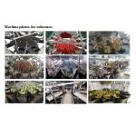 Customized Food Grade Automatic Packaging System For Nuts Candy Bottle