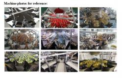 China Customized Food Grade Automatic Packaging System For Nuts Candy Bottle supplier