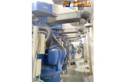 China Second Hand Yaskawa EPX2900 Spraying Robot Explosion Proof supplier