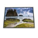 LTD141ECGF 14.1 inch LVDS 262K TFT-LCD Screen Display for sale