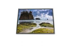 China LTD141ECGF 14.1 inch LVDS 262K TFT-LCD Screen Display supplier