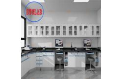 China Rectangular Chemistry Laboratory Table with Adjustable DTC 175° Buffer Hinge supplier