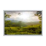 10.1 Inch 1280*800 IPS Medical LCD Panel Without Touch Screen for sale
