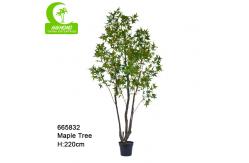 China Lifelike Height 220cm Silk Trees For Indoors For Living Room supplier