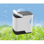 Single Flow Portable 2 Litre Oxygen Concentrator Home Use 220v for sale