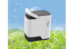 China Single Flow Portable 2 Litre Oxygen Concentrator Home Use 220v supplier