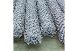 China Hot Dipped Galvanized Chain Link Fence Electro Zinc 8ft Chain Link Fencing supplier