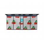 Self Pick Up Parcel Delivery Locker Remote Control Platform Security Camera With Safety Locks for sale