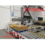 Servo Carton Packing Machine for sale