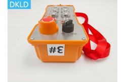China 6-Way Switch Industrial Remote Control supplier
