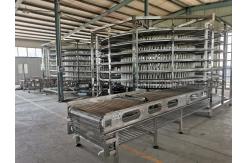 China                  Automatic Industrial Spiral Cooling Tower for Bread/Cake/Pastry/Pizza              supplier