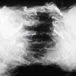 SD Luster Synthetic Textile Fiber The Perfect Solution for Textile Manufacturers for sale