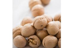 China Walnut supplier origin direct direct price concession support ODM/OEM xin33 supplier